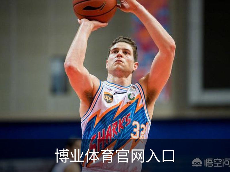 博业体育官网入口介绍
